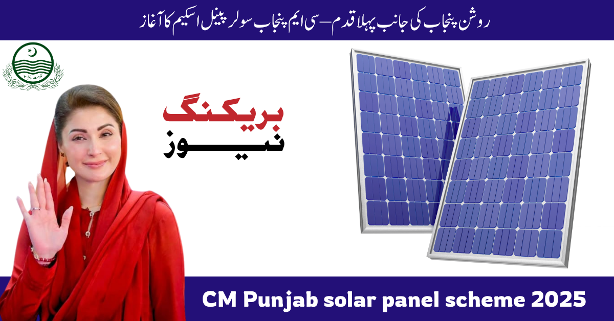 CM Punjab Solar Panel Scheme