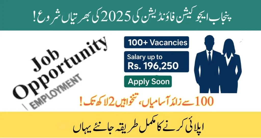 PEF announces job vacancies 2025